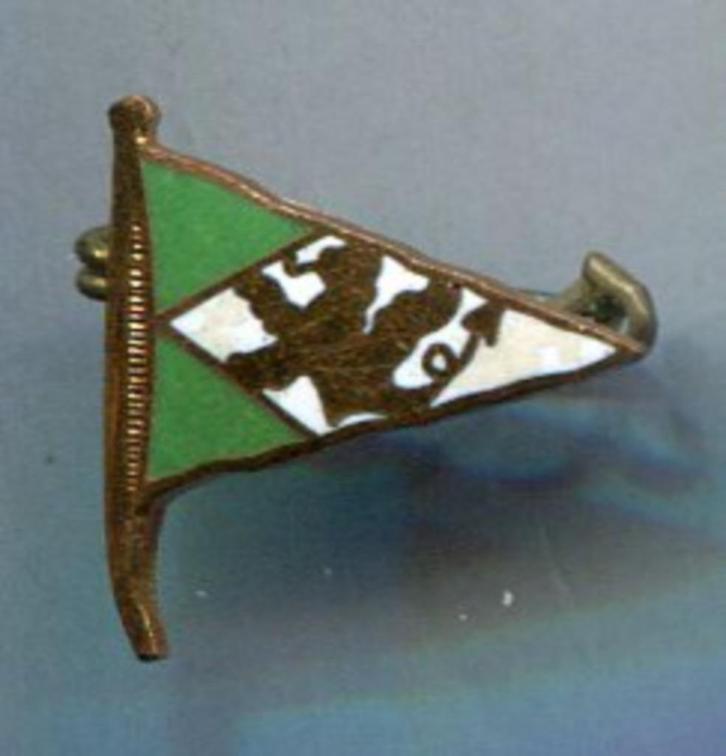 vlag Rederij email op koper broche ( W_153 ), Verzamelen, Speldjes, Pins en Buttons, Nieuw, Speldje of Pin, Transport, Verzenden