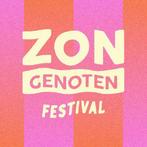 Zongenoten ticket, Tickets en Kaartjes, Eén persoon