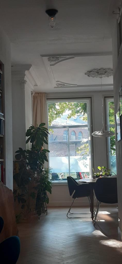 Prachtige gordijnen herenhuis 315 v 313 a ivoor, Huis en Inrichting, Stoffering | Gordijnen en Lamellen, Zo goed als nieuw, 200 cm of meer