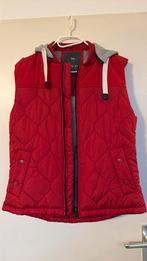 Bodywarmer we, Ophalen of Verzenden, Zo goed als nieuw, Maat 38/40 (M), Groen