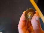 Oud paardentuig ornament, Ophalen of Verzenden