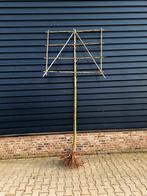 Tilia 'Pallida' 🍀❗️Leilinde❗️🌿, Tuin en Terras, Planten | Bomen, Ophalen, Volle zon, Overige soorten