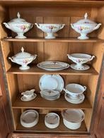 Rosenthal Serviesgoed Compleet, Ophalen of Verzenden