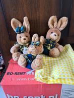 Konijnen Familie Knuffels, Ophalen of Verzenden, Zo goed als nieuw, Konijn