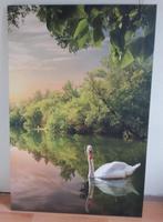 Groot Canvas Schilderij Zwaan, Ophalen, Zo goed als nieuw, Schilderij, 75 tot 100 cm