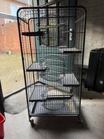 foe chinchillas , rats, Ophalen of Verzenden