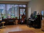 pianoles, contrabasles  Wilsmusic, Privéles, Strijkinstrumenten