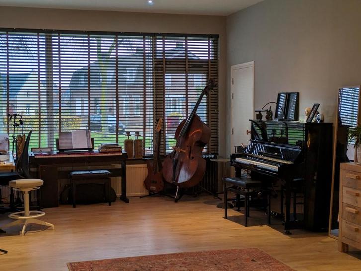 pianoles, contrabasles  Wilsmusic, Diensten en Vakmensen, Muziekles en Zangles, Snaarinstrumenten, Toetsinstrumenten, Strijkinstrumenten