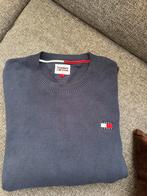 Bijna niet gedragen Tommy jeans heren trui maat L, Ophalen of Verzenden, Zo goed als nieuw, Blauw