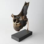 Iers reuzenhert Megaloceros Fossiel Wervel incl. standaard, Ophalen of Verzenden, Fossiel