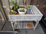 verhoogde kruidenbak, Ophalen, Gebruikt, Minder dan 60 cm, Binnen