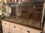 Groot terratium, Dieren en Toebehoren, Ophalen, Gebruikt, Terrarium of Paludarium