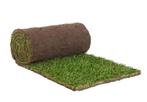 GEZOCHT 3 rollen graszoden HELP, Tuin en Terras, Gras en Kunstgras, Minder dan 10 m², Ophalen of Verzenden, Zo goed als nieuw
