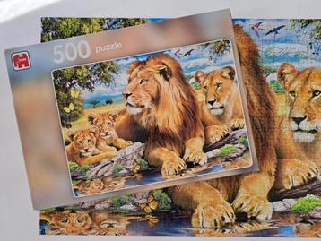 Legpuzzel van een familie Leeuw 500 stukjes Pa Ma 2 welpjes beschikbaar voor biedingen