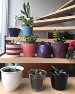 Kleurrijke vintage bloempotten diverse maten, Tuin en Terras, Bloempotten, Binnen, Ophalen of Verzenden, Zo goed als nieuw, Overige vormen