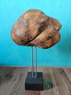 Groot Afrikaans houtsnijwerk hoofd/schedel, Antiek en Kunst, Ophalen of Verzenden