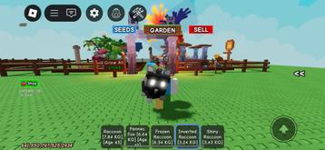 Raccoon in grow a garden beschikbaar voor biedingen