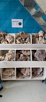 Rif steen voor het aquarium, Ophalen of Verzenden, Zo goed als nieuw, Plant(en), Steen of Hout
