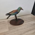 Opgezette scharrelaar opgezet taxidermie taxidermy, Ophalen of Verzenden, Zo goed als nieuw, Vogel, Opgezet dier