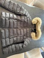 Tommy Hilfiger Jas - Maat XL, Kleding | Dames, Ophalen of Verzenden, Gedragen, Maat 46/48 (XL) of groter, Zwart