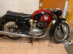 MV Agusta 250 Raid, Motoren, 250 cc, Toermotor, 11 kW of minder, 1 cilinder