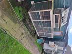 Ren, Meerdere dieren, Postduif