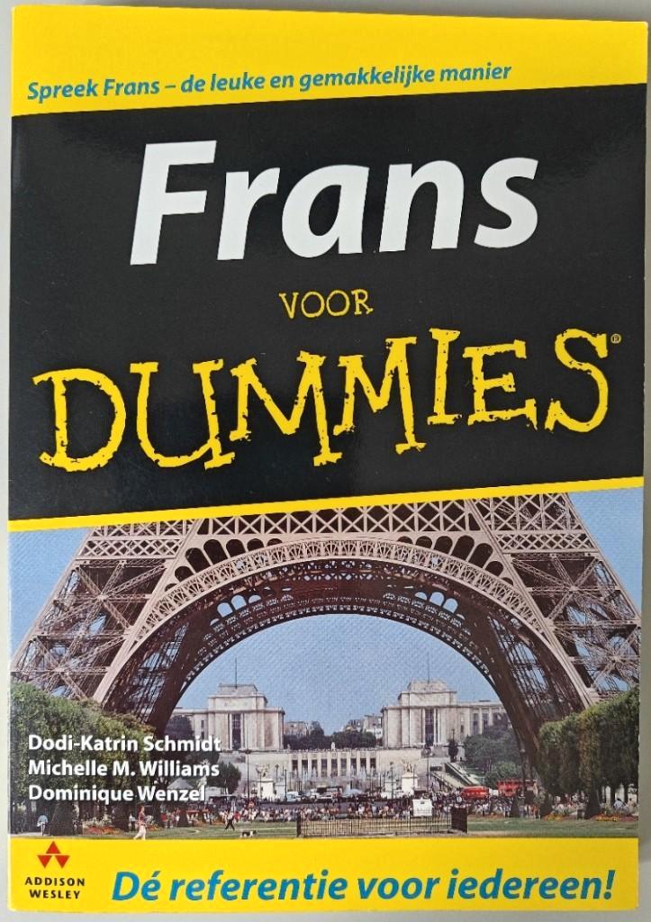 Dodi-Katrin Schmidt: FRANS VOOR DUMMIES (incl. cd-rom)., Boeken, Taal | Frans, Nieuw, Ophalen of Verzenden