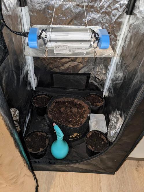 Grow box/grow tent/ led lights/pots/fertilizer/, Tuin en Terras, Kweekspullen, Ophalen