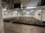 Te Koop: CBD productie in Eschlikon, Zwitserland, Zakelijke goederen, Exploitaties en Overnames