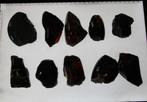 Amber  (set), Ophalen of Verzenden, Fossiel