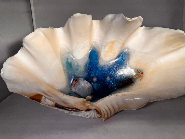 Unieke Schelp met Epoxy Zee-tafereel, Huis en Inrichting, Woonaccessoires | Overige, Nieuw, Ophalen of Verzenden