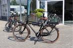 Stella Forte l Elektronische herenfiets l 522wh l 53cm, Fietsen en Brommers, Elektrische fietsen, Overige merken, Ophalen of Verzenden