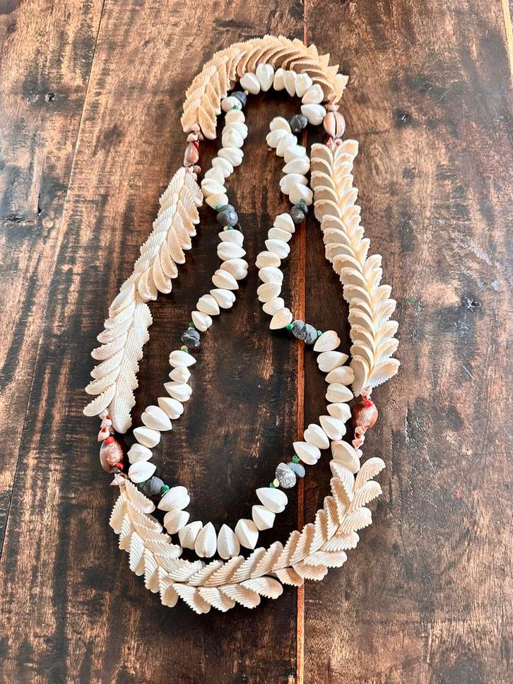 2 Schelpen halssierraden Congo 1950 collectie Antropoloog, Antiek en Kunst, Kunst | Niet-Westerse kunst, Ophalen of Verzenden