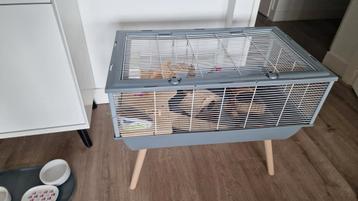 Lux hamster cage/ Lux hamsterkooi beschikbaar voor biedingen