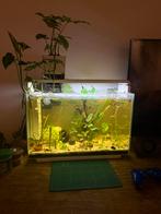 Superfish home 65, Dieren en Toebehoren, Ophalen, Gebruikt, Leeg aquarium