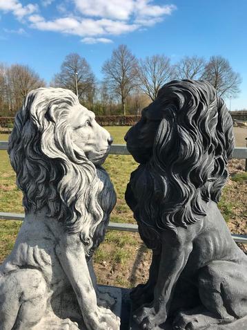 ‼️Löwe 80cm 90kg leeuwen leeuwenpaar leeuw tijger Kat‼️ beschikbaar voor biedingen