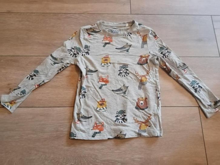 Palomino longsleeve maat 128, Kinderen en Baby's, Kinderkleding | Maat 128, Gebruikt, Jongen, Shirt of Longsleeve, Ophalen of Verzenden