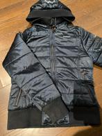 Pikeur winterjas Blauw - Maat S, Ophalen of Verzenden, Zo goed als nieuw, Dressuur, Bovenkleding