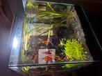 Aquarium superfish 30, Dieren en Toebehoren, Vissen | Aquaria en Toebehoren, Ophalen, Gevuld zoetwateraquarium