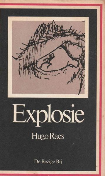 Hugo Raes - Explosie"" beschikbaar voor biedingen