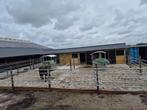 Per direct stalling aangeboden, Dieren en Toebehoren, Stalling, 2 of 3 paarden of pony's