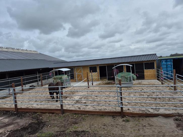 Per direct stalling aangeboden, Dieren en Toebehoren, Stalling en Weidegang, Stalling, 2 of 3 paarden of pony's