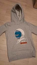 Sweater maat 134, Ophalen of Verzenden, Gebruikt, Jongen, Trui of Vest