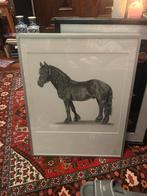 Paard Schilderij door Jaap van Dijk 41x51cm, Ophalen of Verzenden