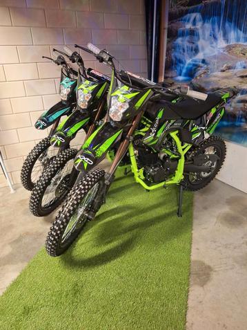 Kxd Pro Pitbikes, Splinternieuw Nieuwstemodellen beste prijs beschikbaar voor biedingen