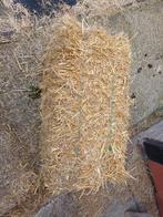 Kleine pakjes stro, Dieren en Toebehoren, Ophalen of Verzenden, Vee