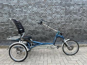  Elektrische Van Raam Easy rider beschikbaar voor biedingen