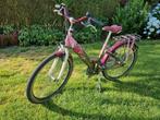 Te koop: alpine girlpower 24 inch, Fietsen en Brommers, Fietsen | Meisjes, Ophalen, Gebruikt, 24 inch, Handrem