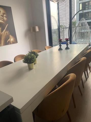 Lange eettafel van 280 cm lengte en breedte 95cm beschikbaar voor biedingen