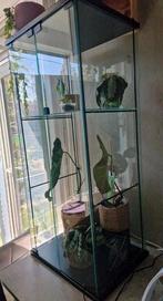 Glazen vitrine kast 47b x 36d x 100h, Huis en Inrichting, Kasten | Vitrinekasten, Ophalen, Gebruikt, 25 tot 50 cm, 50 tot 100 cm